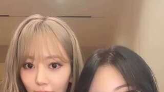 오랜만에 다시 뭉친 사쿠라&이채연