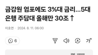 금감원 엄포에도 3%대 금리…5대 은행 주담대 올해만 30조↑