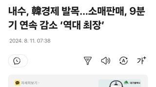 내수, 韓경제 발목…소매판매, 9분기 연속 감소 ‘역대 최장’