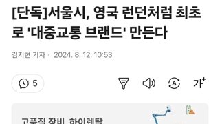 [단독]서울시, 영국 런던처럼 최초로 '대중교통 브랜드' 만든다