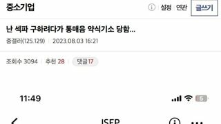 섹파 구하다가 고소당한 디시인