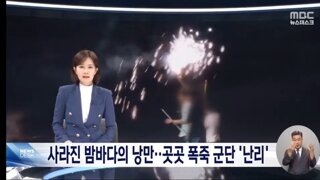 백사장서 불꽃 '펑펑'‥올해도 불법 폭죽놀이에 골치