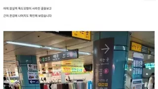 한국 멸망시 사전경고장치