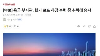 [속보] 육군 부사관, 헬기 로프 하강 훈련 중 추락해 숨져