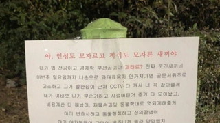 과태료 처분에 발광버튼 눌린 캣맘 ㄷㄷ