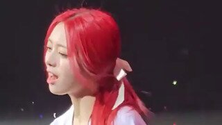 ITZY 유나 고양이의 묘생