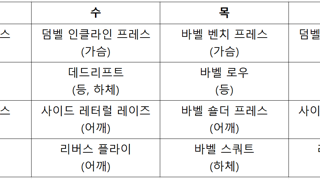 헬린이식 루틴