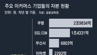 주요 이커머스 기업의 자본