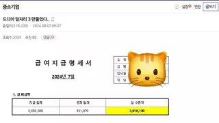 자살시도 했다가 월급 300 넘기고 울었다는 91년생