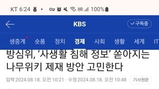 방심위, 사생활 침해 정보 쏟아지는 나무위키 제재 방안 고민