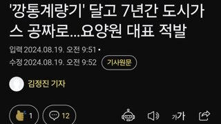 '깡통계량기' 달고 7년간 도시가스 공짜로…요양원 대표 적발