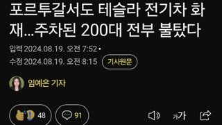 포르투갈서도 테슬라 전기차 화재…주차된 200대 전부 불탔다