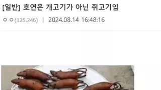 개고기 다음은 쥐고기