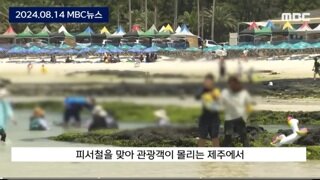 제주돼지를 스페인에서 키우나? 비싼것도모자라........