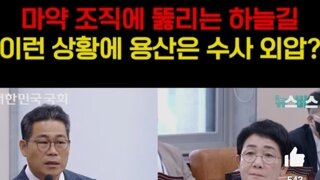 마약외압사건 마약조직 한달동안12번입국