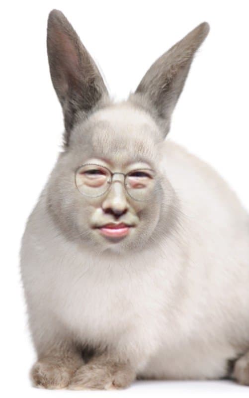 토끼소주 이미지