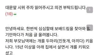 키우는 고양이가 개한테 물려죽어 화가 난 옆집 이웃