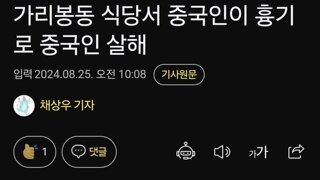 가리봉동 식당서 중국인이 흉기로 중국인 살해