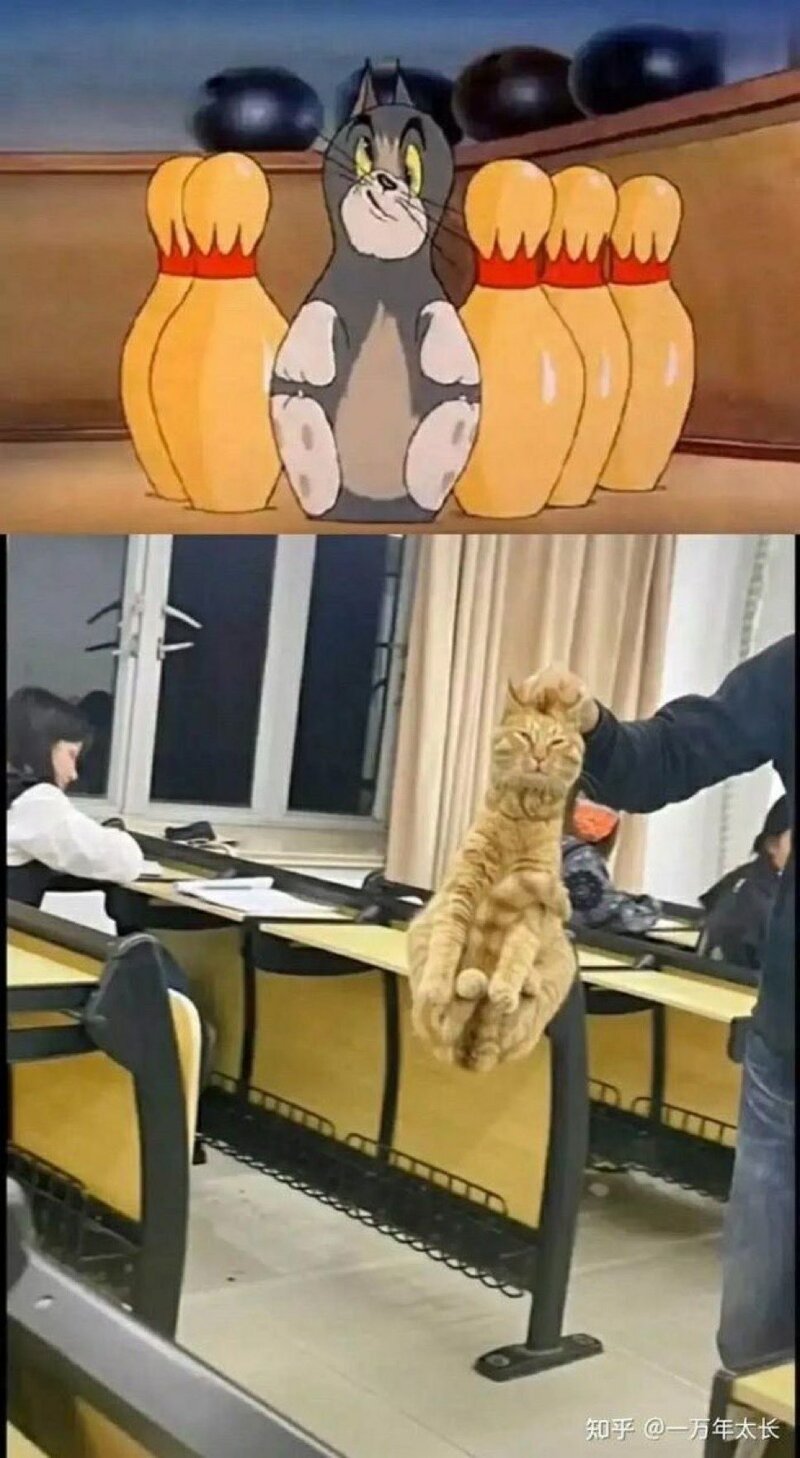 찾음 이미지