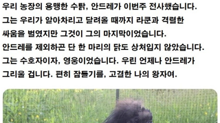 용맹하고 고결한 왕자 안드레 잠들다.