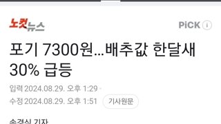 포기 7300원…배추값 한달새 30% 급등