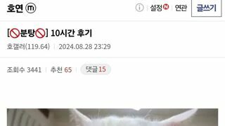 호연) 플탐 10시간 후기