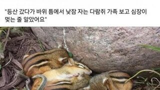 심장 멎을뻔 했다는 등산객