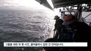 심각하다는 서귀포 바다 근황