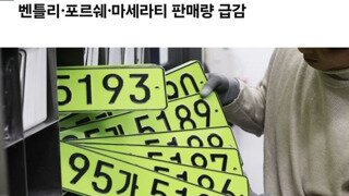 연두색 번호판 도입 후 차량 판매량 급감