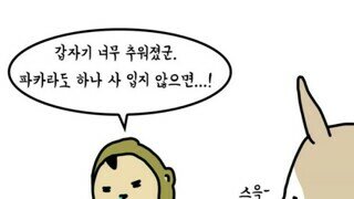 여름이 지나니 곧 추워지겠군요.