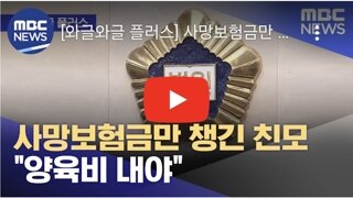 사망보험금만 챙긴 친모 