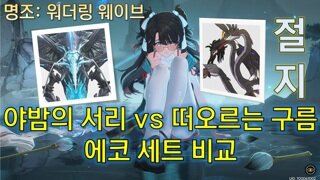 절지 서리&구름 에코 세트 비교 가이드 명조 워더링 웨이브