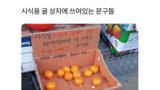 시식용 귤 상자에 써있는 문구