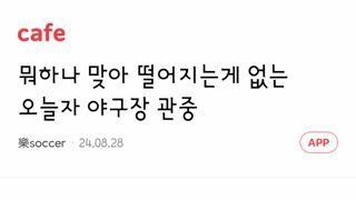 두산 vs nc 경기인데 이분들은 팬들이 아님