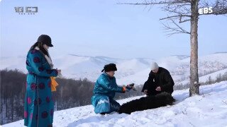 몽골의 반려견 장례 풍습