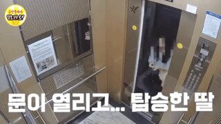 엘베 전단지 뗐다고…중3 딸, ‘재물 손괴죄’로 검찰 송치됐다