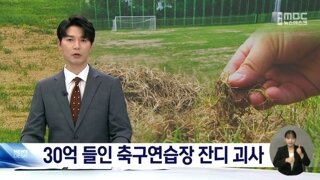 30억 들였는데 한달만에 잔디 괴사한 광주fc 훈련장