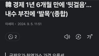 韓 경제 1년 6개월 만에 '뒷걸음'…내수 부진에 ‘발목’(종합)