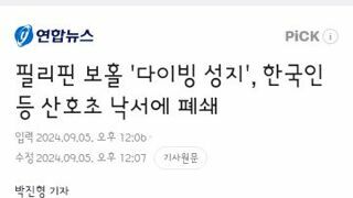 필리핀 보홀 '다이빙 성지', 한국인 등 산호초 낙서에 폐쇄