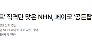 '티메프' 직격탄 맞은 NHN, 페이코 '공든탑' 무너졌다