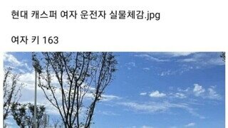 경차 남녀 실물 체감