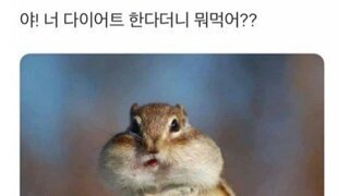 이게 되네!?