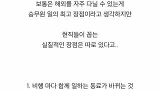 현직 항공 승무원들이 꼽는 직업의 장점