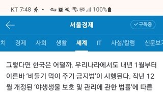 내년 1월부터 시행되는 비둘기 먹이 주기 금지법