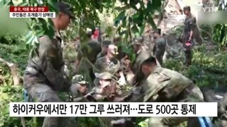 태풍 지나간후 야자수와 생선담기에 여념없는 중국인들