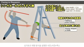 국내도입이 시급합니다. ' ㅡ'