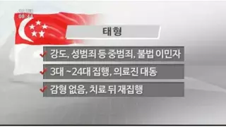 강력 범죄 재범률을 극히 낮춰주는 싱가포르의 태형 제도