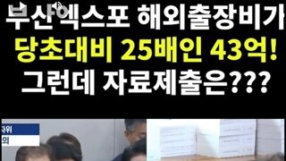 부산엑스포 출장비