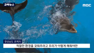 동물학대 논란에도 4년째 영업중인 돌고래 수족관