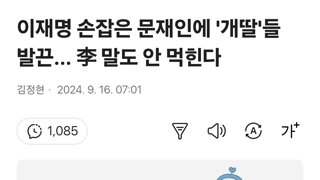 이재명 손잡은 문재인에 '개딸'들 발끈... 李 말도 안 먹힌다